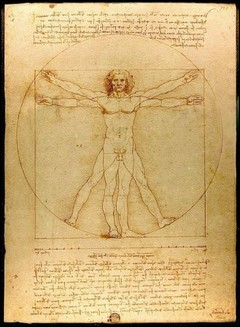 Léonard de Vinci était un Italien de la Renaissance, il fut artiste, scientifique, ingénieur, anatomiste, peintre... Entre ses œuvres voici «l'Homme Parfait» qui désigne une anatomie parfaite. Quel nom porte aussi cette étude anatomique ?