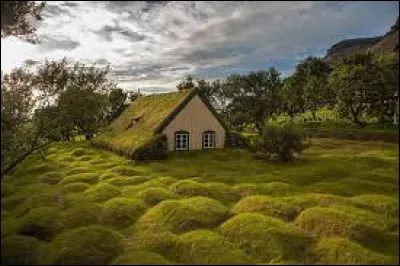 Le drapeau de l'Islande poss&egrave;de une croix rouge et blanche sur un fond de couleur...