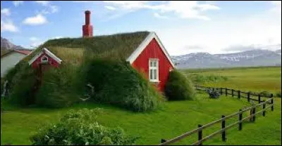 Quel est le nom d'un produit laitier embl&eacute;matique de la cuisine islandaise qui a une texture similaire &agrave; celle du yaourt, bien qu'il s'agisse d'un fromage frais ?