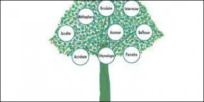 Quelle est ton étymologie préférée ?