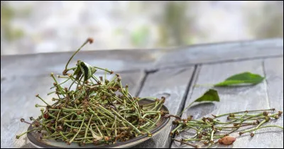 Les queues de cerises sont principalement utilisées pour quelles propriétés ?