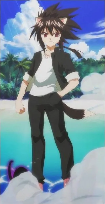 À quel manga appartient-il ?