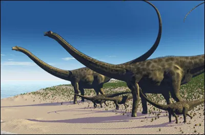 Quel est ce dinosaure ?