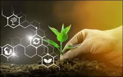 Que signifie le sigle "OGM" ?