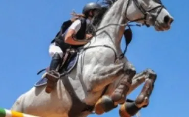 Quiz Galop 3
