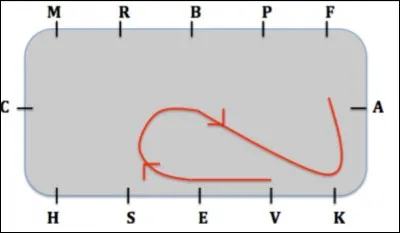 Comment s'appelle cette figure ?