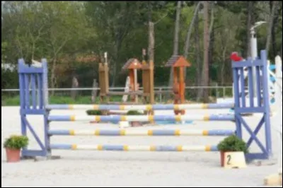 Comment s'appelle cet obstacle ?