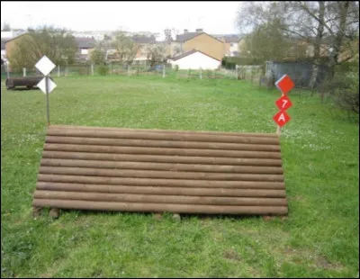 Comment s'appelle cet obstacle de cross ?