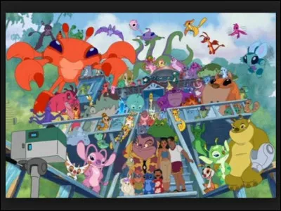 Comment les appelle-t-on ?