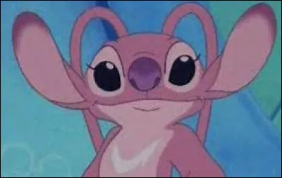 Quel expérience est Angel ?