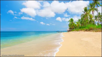 Quel duo mixte a dû quitter l'aventure lors du premier conseil ?