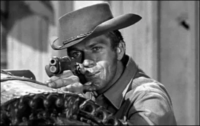 Quel était le nom du héros incarné par Steve McQueen dans la série américaine ''Au nom de la loi'' ?