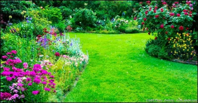 Veux-tu avoir un jardin ?