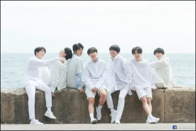 Quel est le clip de BTS ayant le plus de vues ?