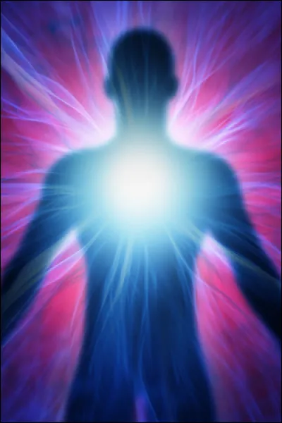 Ligaments : dans quelle partie du corps se trouvent les ligaments croisés ?