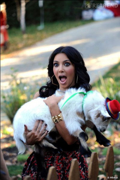 Quel est l'animal que porte Kim Kardashian ?
