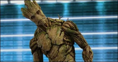 Dans la version originale, qui pr&ecirc;te sa voix &agrave; Groot (dans "Les Gardiens de la Galaxie") ?