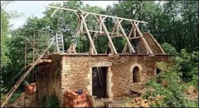 Quelle est la particularité du châtaignier dans une toiture ?