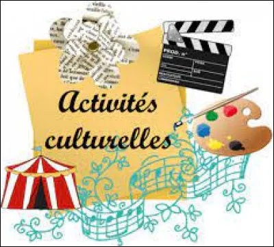 Quelle activit&eacute; culturelle faites-vous ?