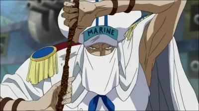 Quel fruit du dmon a mang Shuu ?