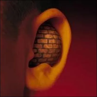 Mon épouse n'entend pas très bien ces temps-ci, pourtant, elle nettoie souvent ses oreilles. De plus, elle a parfois des vertiges. Parmi ces spécialistes, lequel devrait-elle voir ?