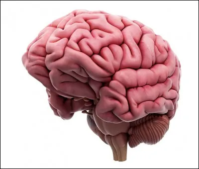 Mon fils a aussi des antécédents épileptiques et il est suivi par...