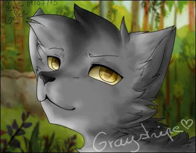 Pour quelles raisons Plume Grise a-t-elle rejoint le Clan de la Rivière ? (plusieurs réponses)