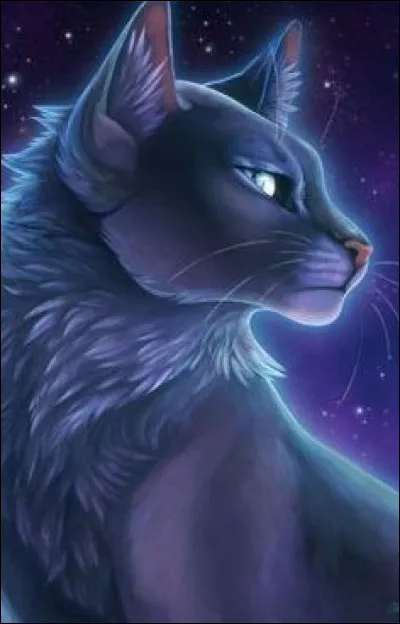 Étoile Bleue a-t-elle accepté qu'Étoile de Feu devienne le nouveau chef du Clan du Tonnerre ?