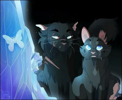 Après la mort de Petite Feuille, Étoile Bleue a demandé que ce soit Croc Jaune, la nouvelle guérisseuse. Celle-ci a accepté, mais plusieurs lunes plus tard, Croc Jaune meurt à cause du feu. Qui est la nouvelle guérisseuse ?