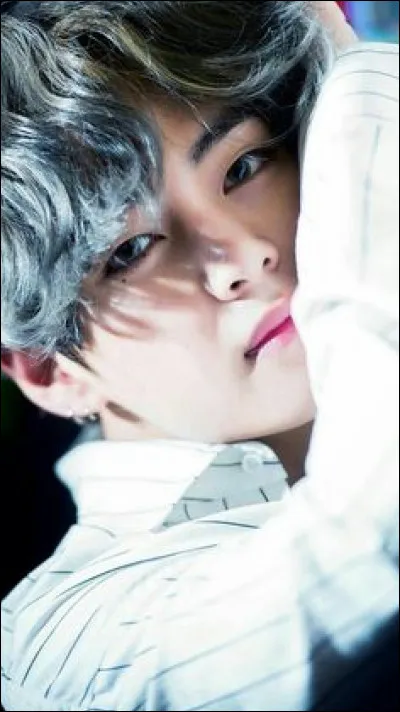 Si tu faisais partie d'un groupe, tu serais :