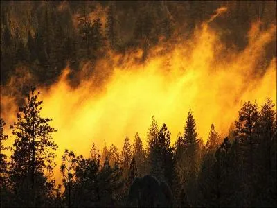 Quel est cet événement ?