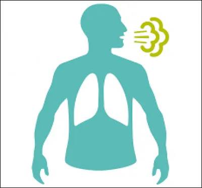 Qu'est-ce que la fréquence respiratoire d'un individu ?