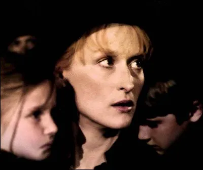 Cinéma : Meryl Streep est l'actrice la plus nommée à l'Oscar de la meilleure actrice avec dix-sept nominations. En 1983, elle reçoit l'Oscar de la meilleure actrice pour son rôle dans "Le choix de ...".