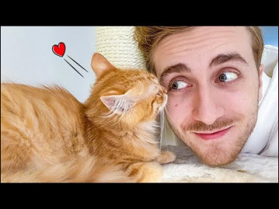 Comment s'appelle son chat ?