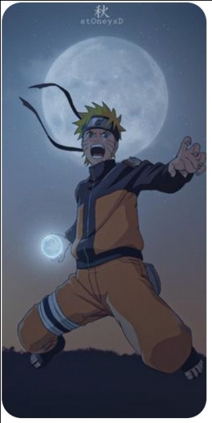 Connais-tu le manga 'Naruto' ( certains personnages )