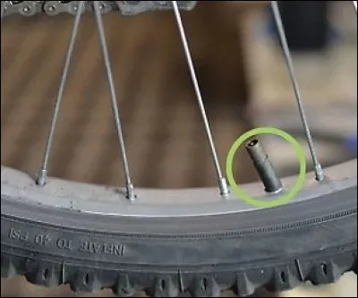 Une pompe à vélo dispose de deux sortes d'embouts pour s'adapter à la valve. Lequel est représenté ici ?