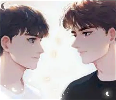 De quel manga viennent-ils ?