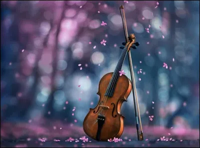 Quel est linstrument le plus grave de la famille des cordes frottées ?