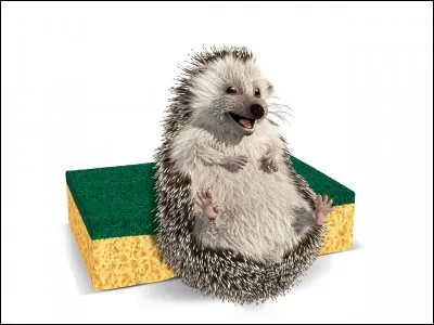 Tout le monde se souvient de la pub ''Spontex'' avec un hérisson. Quel est le pays dorigine de l'entreprise ''Spontex'' ?