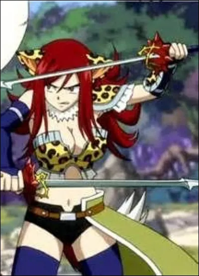 Quelle est cette armure ?