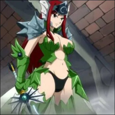 Quelle est cette armure ?