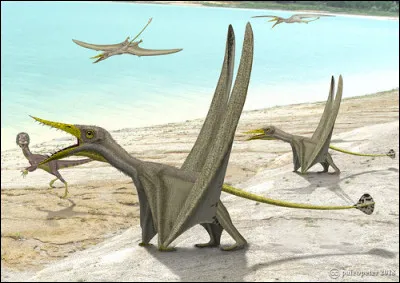 Je suis un petit reptile volant du Jurassique, je suis piscivore et je vis en Europe occidentale.