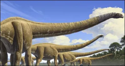 Je suis un énorme sauropode de 22 m dont 14 m pour mon cou à lui seul et je vis en Chine.