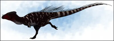 Je suis un petit Pachycephalosauridé vivant en Mongolie, mon nom veut dire tête plate, et je vis au Crétacé.