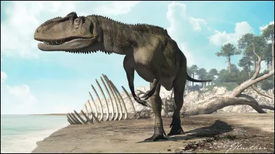 Je suis un prédateur d'Europe et du Jurassique, mon nom signifie : reptile modérément épineux.