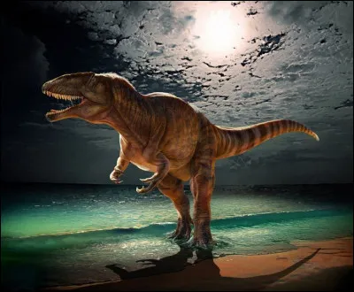 Je suis un des plus grands dinosaures carnivores, je fait 13 m et je vis en Afrique.