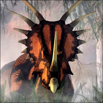 Je suis de la famille des Cératopsidés, je vis en Amérique du Nord et je suis spectaculaire.