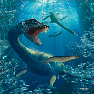 Je suis connu par quelques amateurs, je mange des poissons et ma taille est à peu près de 14 m de long.