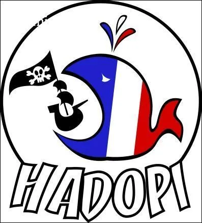 Comment fonctionne 'Hadopi' ?