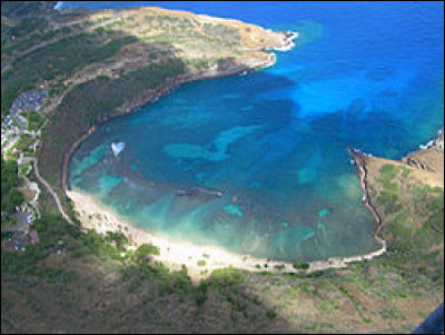 De quoi s'agit-il sur la photo ?